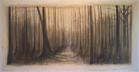 Woods